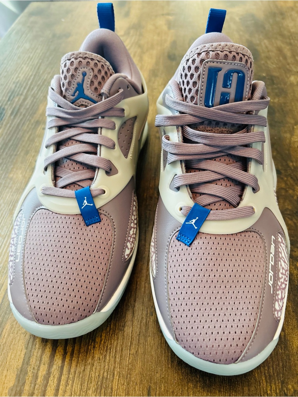 Jordan Women’s Sneakers in Mauve with Blue Branding